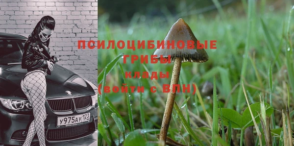 ALPHA PVP Абаза